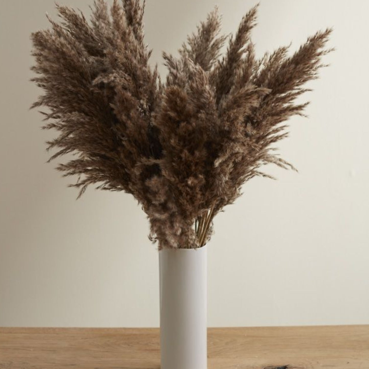 6-Pack Fluffy Dried Pampas Grass