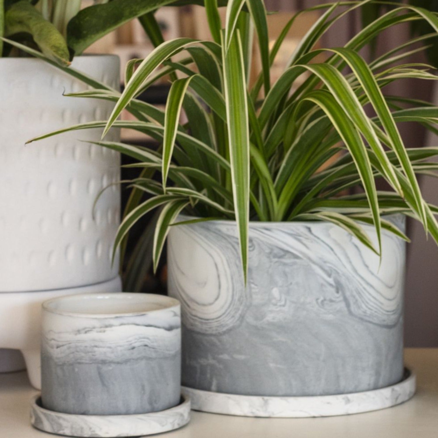 Shona Pot,Marble Finish Pot,White and Gray Clay,Slim Saucer,Elegant Pot for Plant,Plant Decor,Indoor Pot,Handcrafted Pot