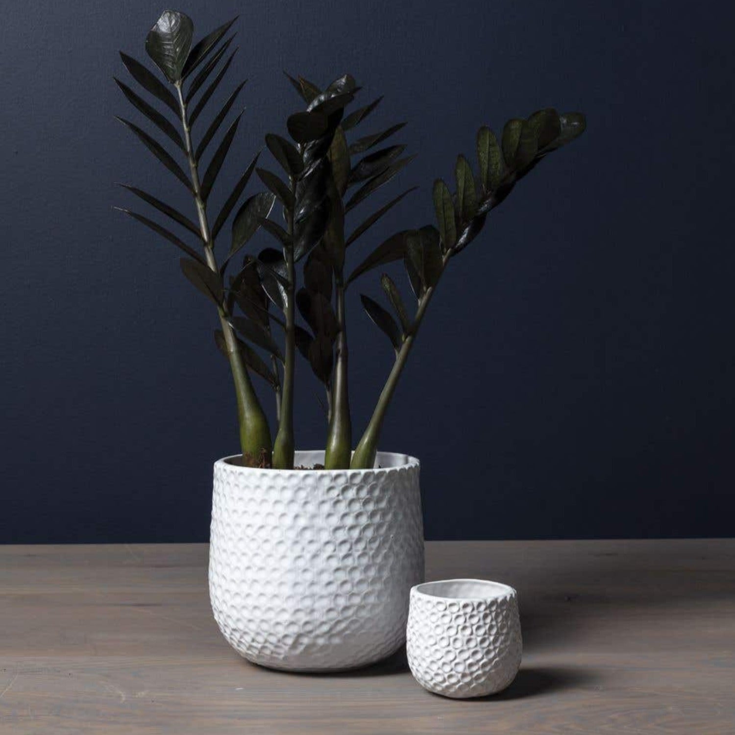 plant lover,white pot,ceramic,white glazed finish,durable,fits a 6 inch drop in plant,perfect for an orchid,dot textured design,ceramic planter