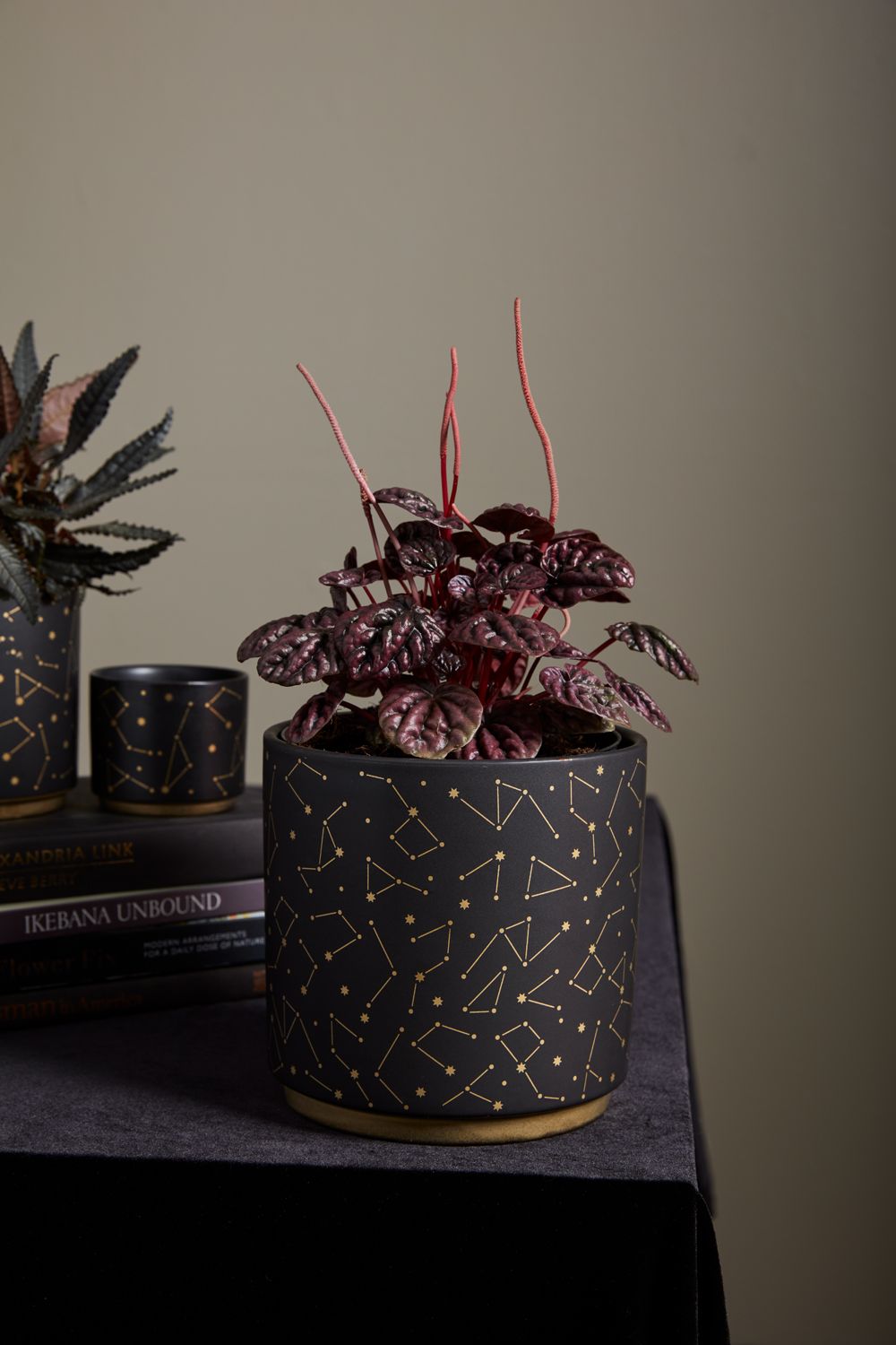 Black Ceramic Pot,Solar Star Design,Gold Colored Base,Matte Finish,Celestial Pot,Drop In Plant Pot,Home Decor,Pot for Plants,Starry Night Pot