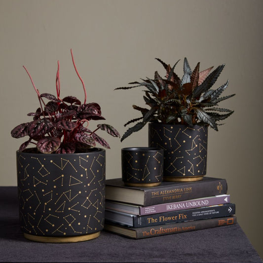 Black Ceramic Pot,Solar Star Design,Gold Colored Base,Matte Finish,Celestial Pot,Drop In Plant Pot,Home Decor,Pot for Plants,Starry Night Pot
