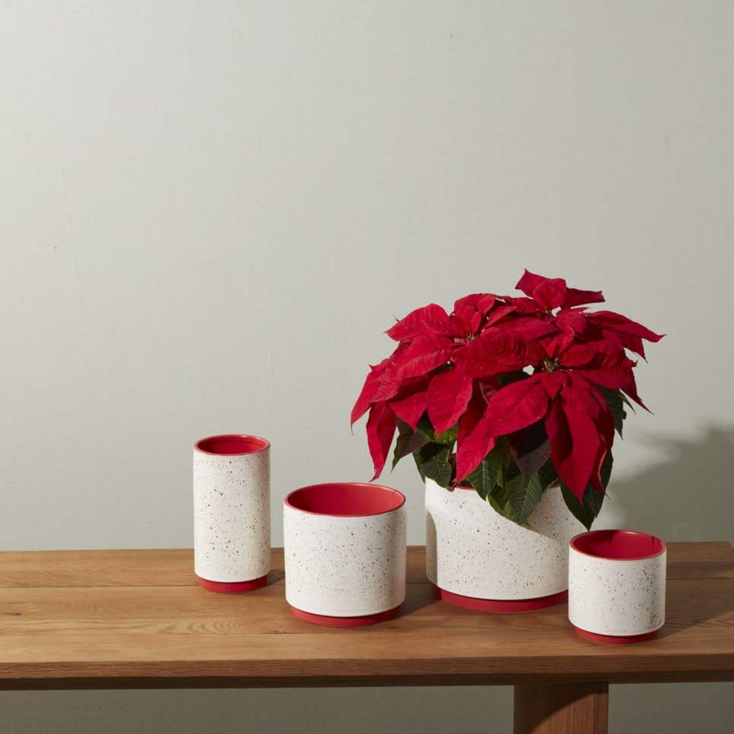 Kamba Red Ceramic Vase & Pot Set - Orchid-Ready, Speckled Finish